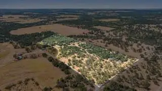 18.145 Acres Herber-schaefer Rd, Fredericksburg, TX 78624 - Image #1