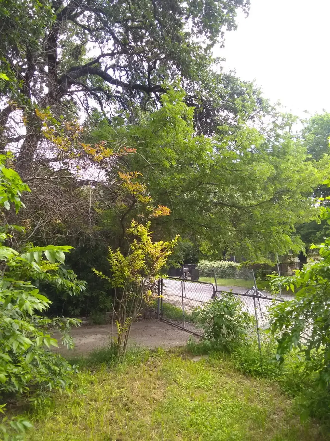 8002 Persimmon Trl, Austin, TX 78745 - #1