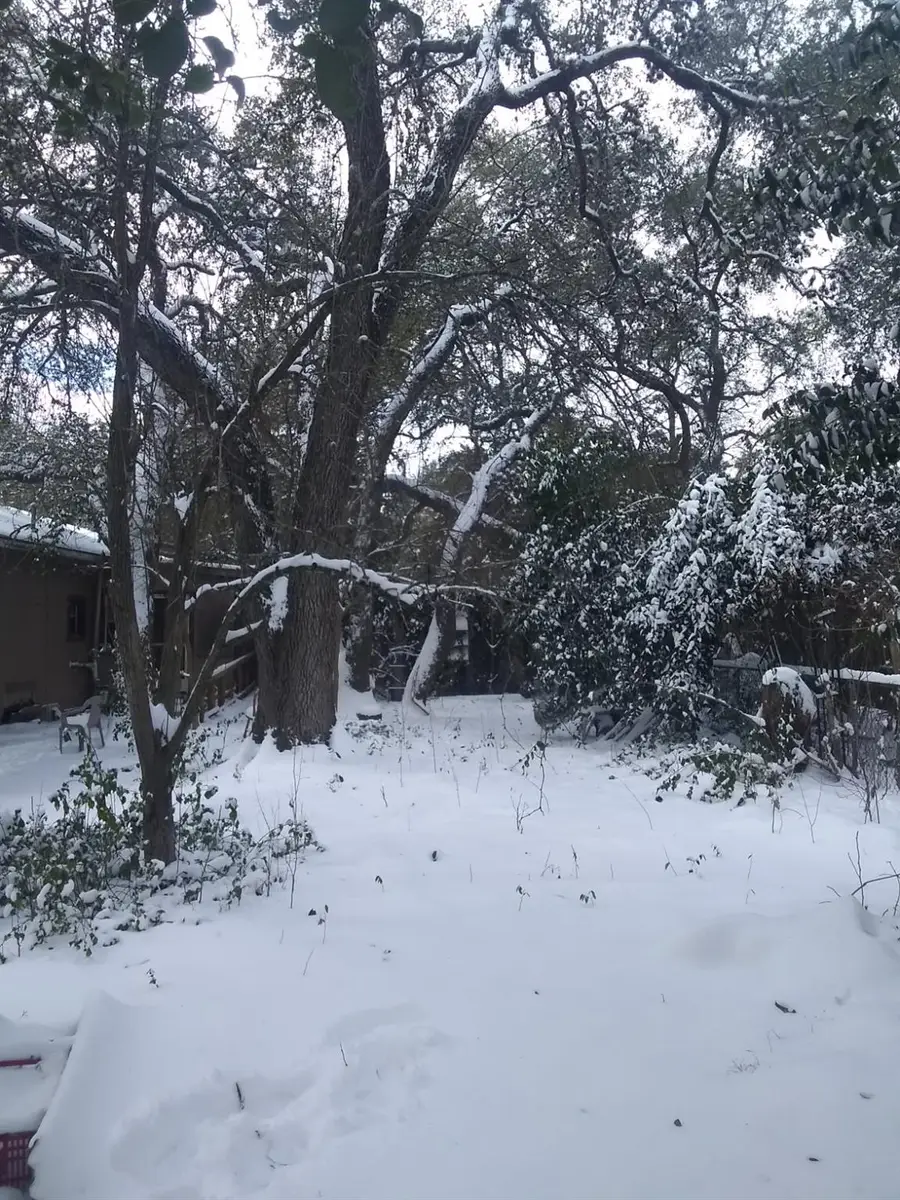 8002 Persimmon Trl, Austin, TX 78745 - #3