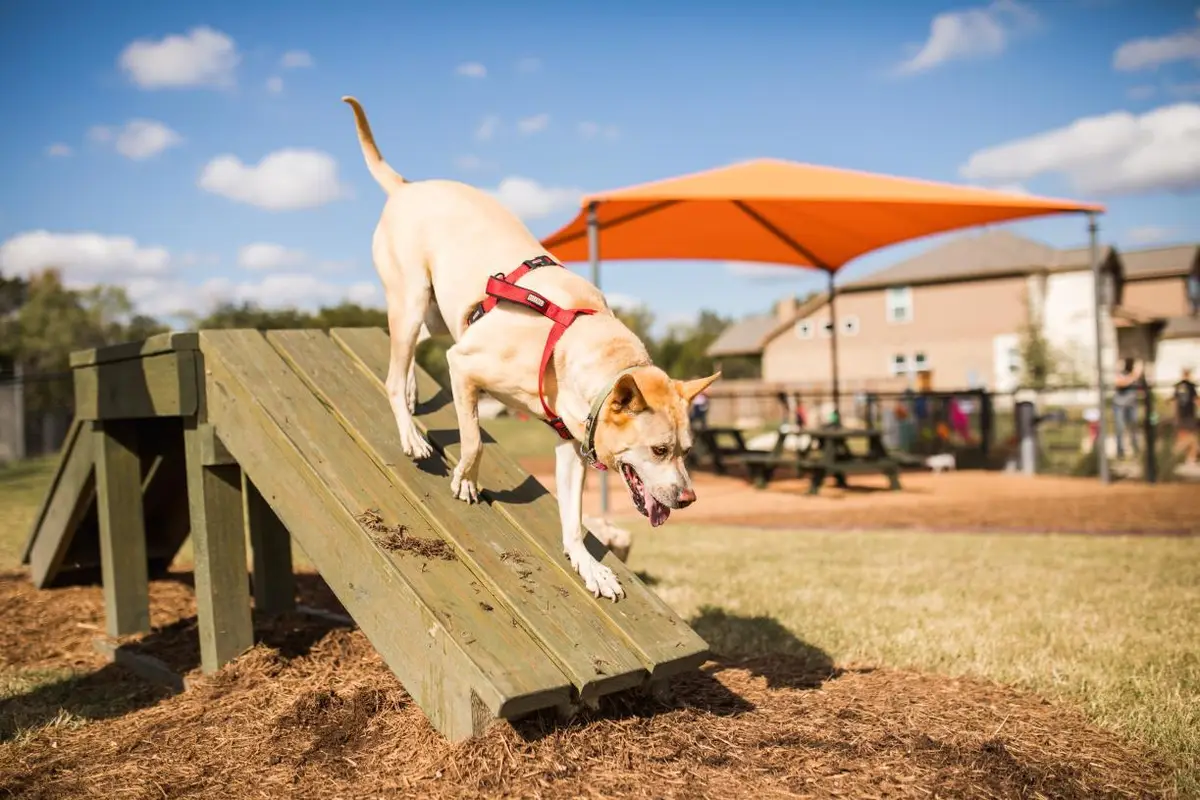 506 Cates Ct, Liberty Hill, TX 78642 - #1