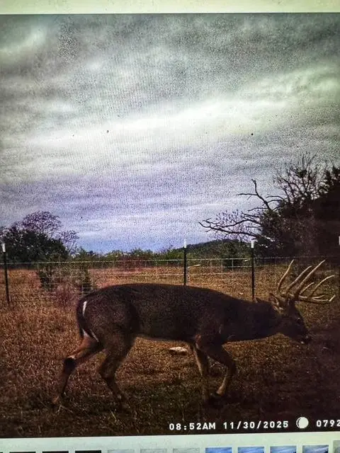 000 County Road 2699, Goldthwaite, TX 76853 - #2