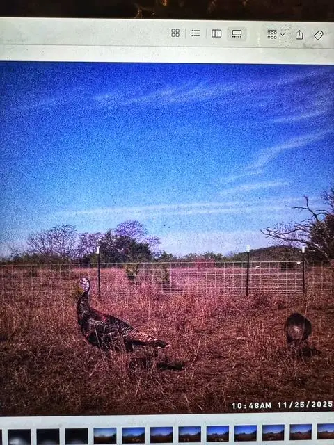 000 County Road 2699, Goldthwaite, TX 76853 - #3