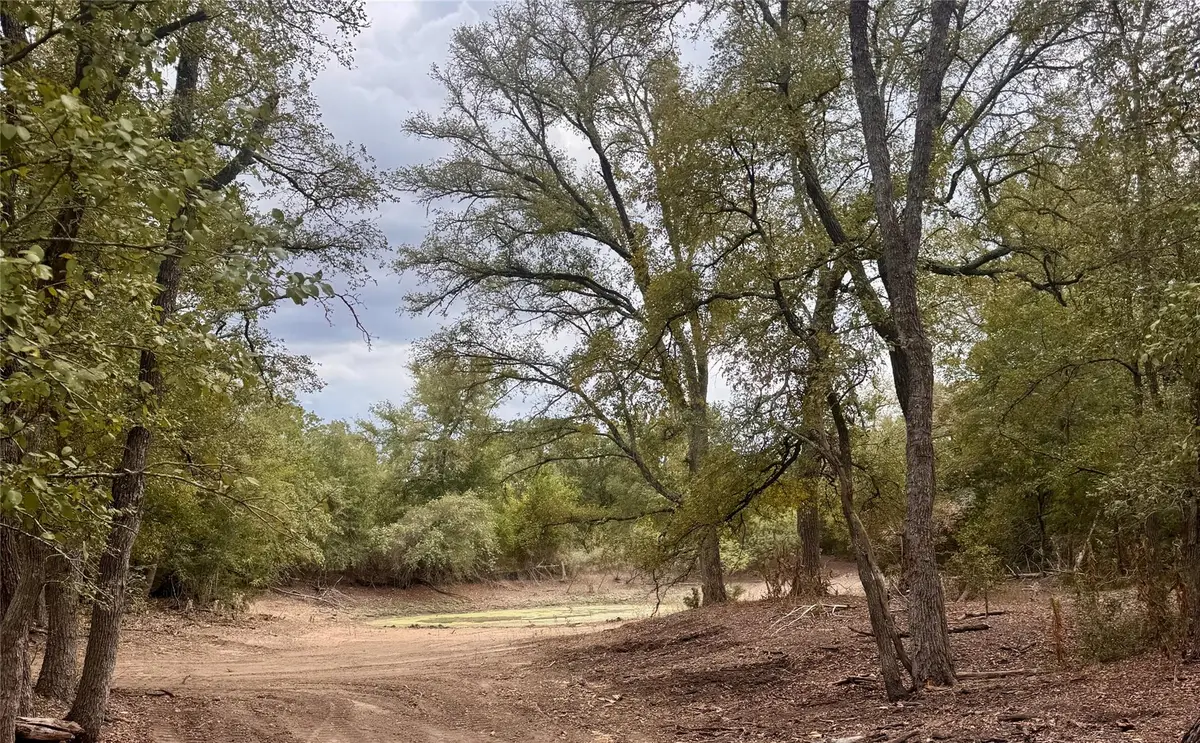 12 Acres Mt Pleasant Rd, Cedar Creek, TX 78612 - #1