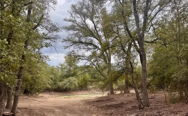 12 Acres Mt Pleasant Rd, Cedar Creek, TX 78612