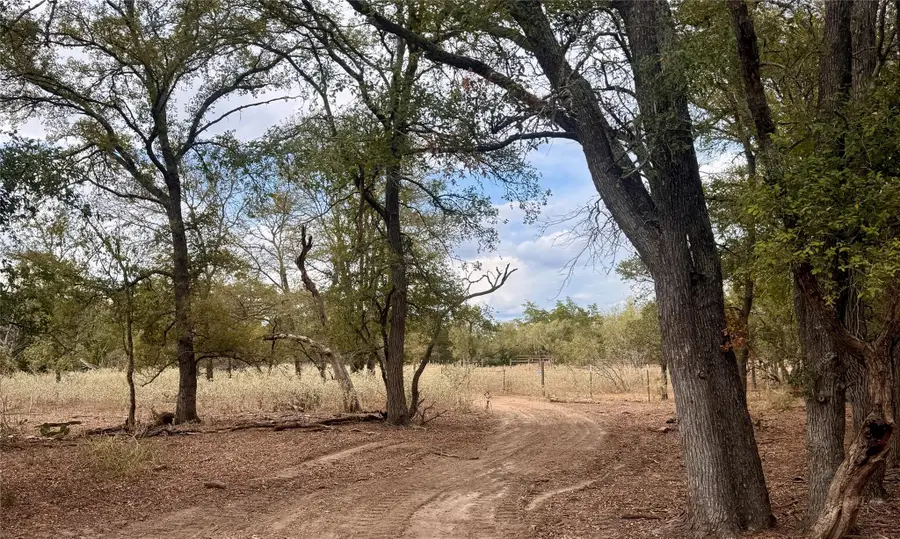 12 Acres Mt Pleasant Rd, Cedar Creek, TX 78612 - #3