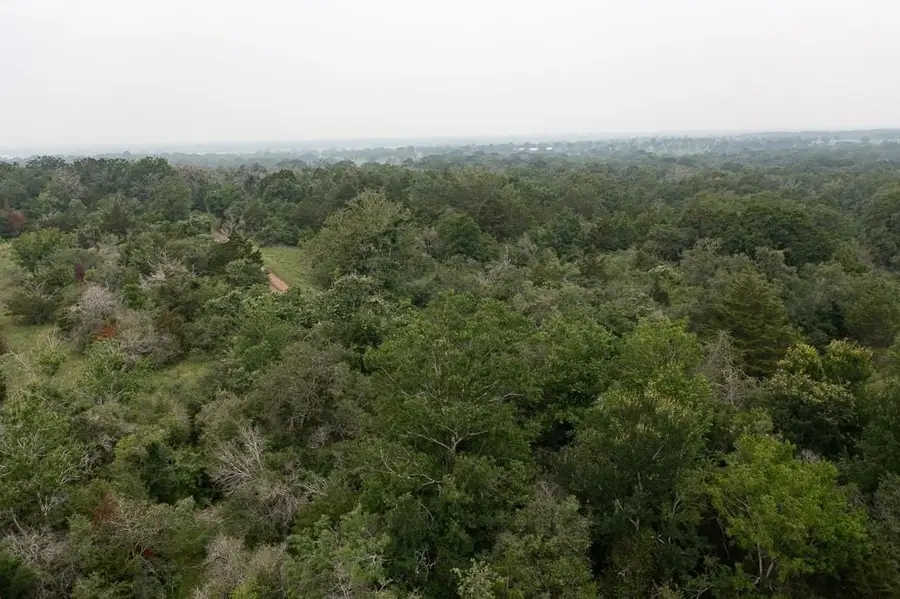 LOT 2 Private Road 4601, Waelder, TX 78959 - Image #3