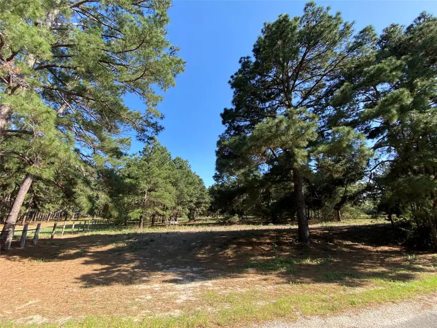 147 Oak Leaf Dr, Bastrop, TX 78602 - #3