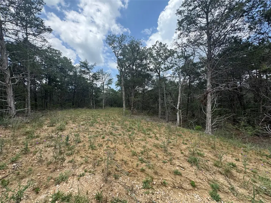 Lot 1 Hailey Ln, Dale, TX 78616 - Image #3