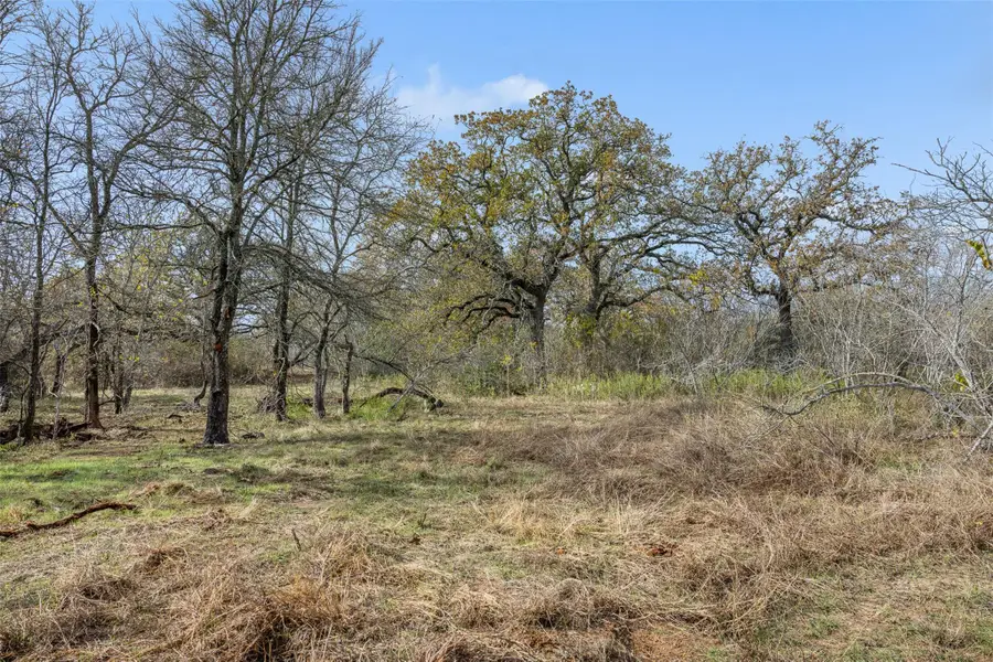 800 Bugtussle Ln, Luling, TX 78648 - Image #2