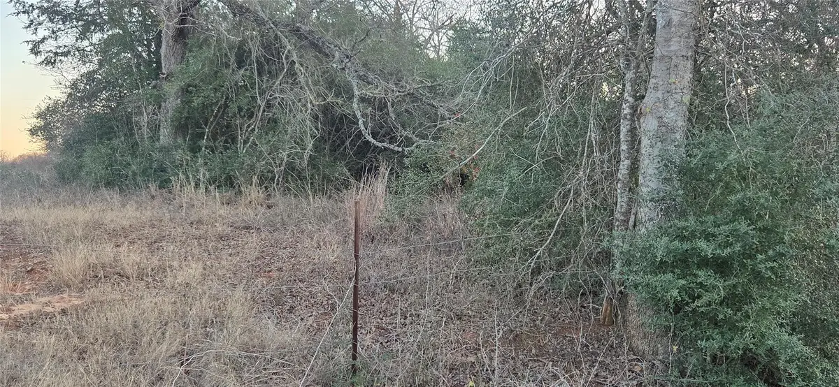 314 County Road Lot 8 Tbd Rd, Rockdale, TX 76567 - #1