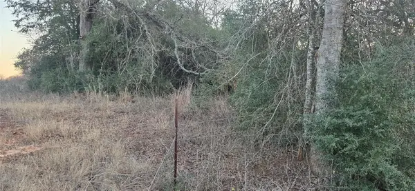 314 County Road Lot 8 Tbd Rd, Rockdale, TX 76567