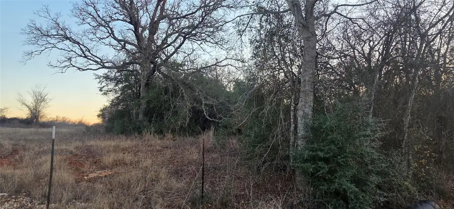 314 County Road Lot 8 Tbd Rd, Rockdale, TX 76567 - #2