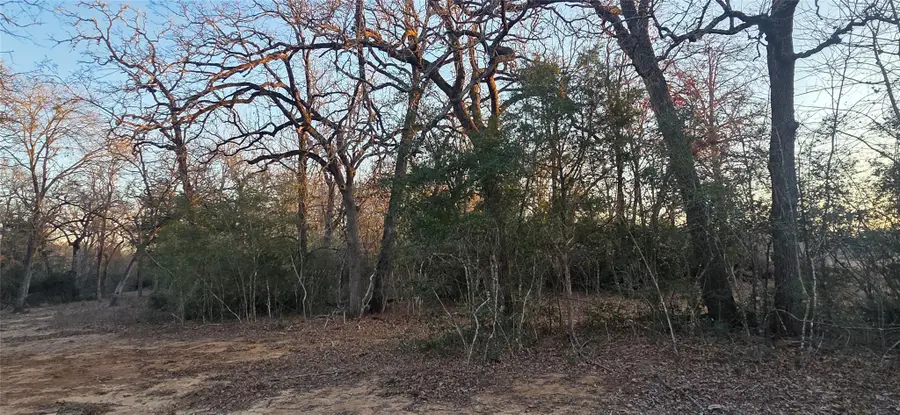 314 County Road Lot 8 Tbd Rd, Rockdale, TX 76567 - #3