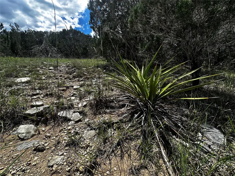 21114 Bertram Ln, Spicewood, TX 78669 - #2