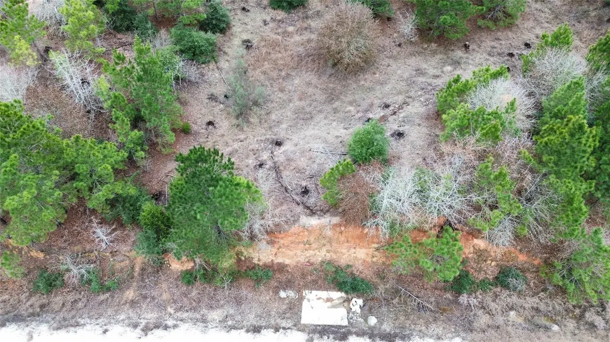 LOT 171 / R32192 Keo Kea Ct, Bastrop, TX 78602 - Image #1