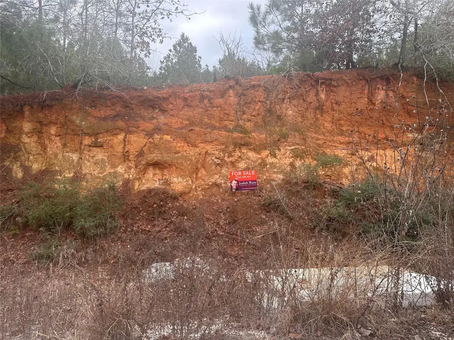 LOT 171 / R32192 Keo Kea Ct, Bastrop, TX 78602 - Image #3