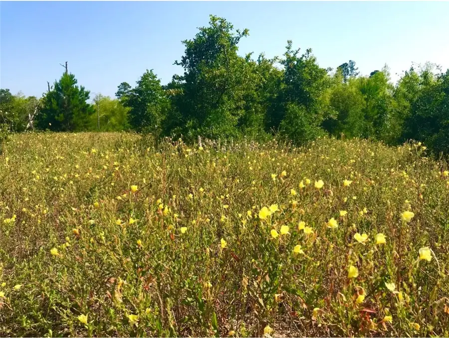 Lot 50 Martin Ln, Paige, TX 78659 - Image #2