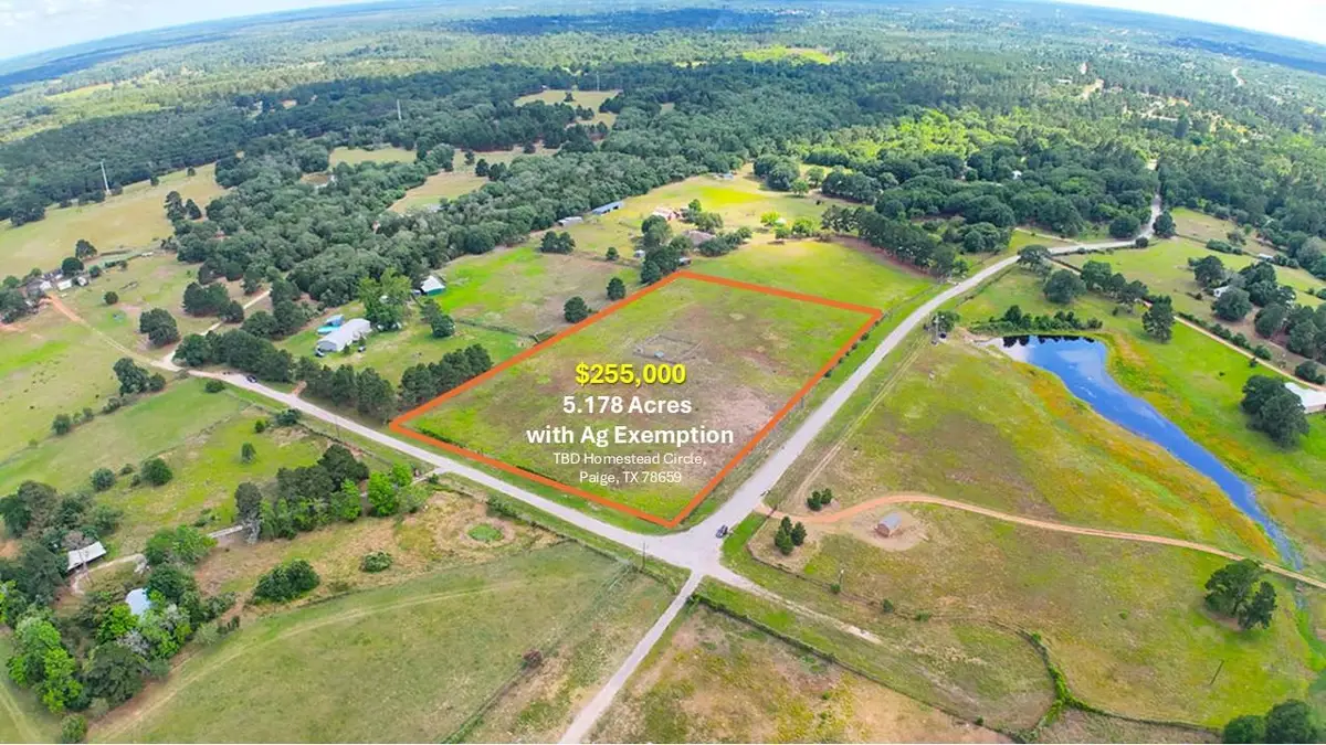 TBD Homestead Cir, Paige, TX 78659 - Image #1
