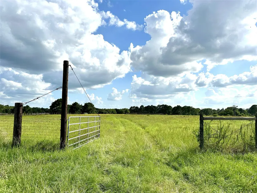 TBD Homestead Cir, Paige, TX 78659 - Image #3