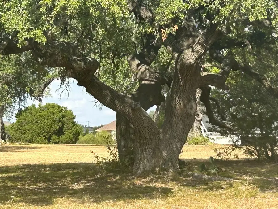 100 Green Branch Ct, Liberty Hill, TX 78642 - Image #3