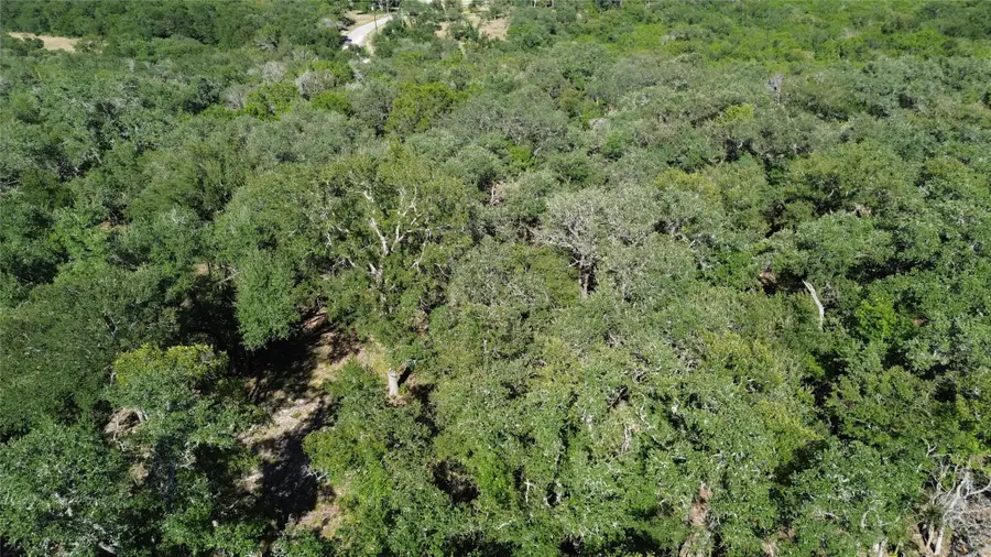 1918 (Lot 8) Woodford Ct, Salado, TX 76571 - Image #3