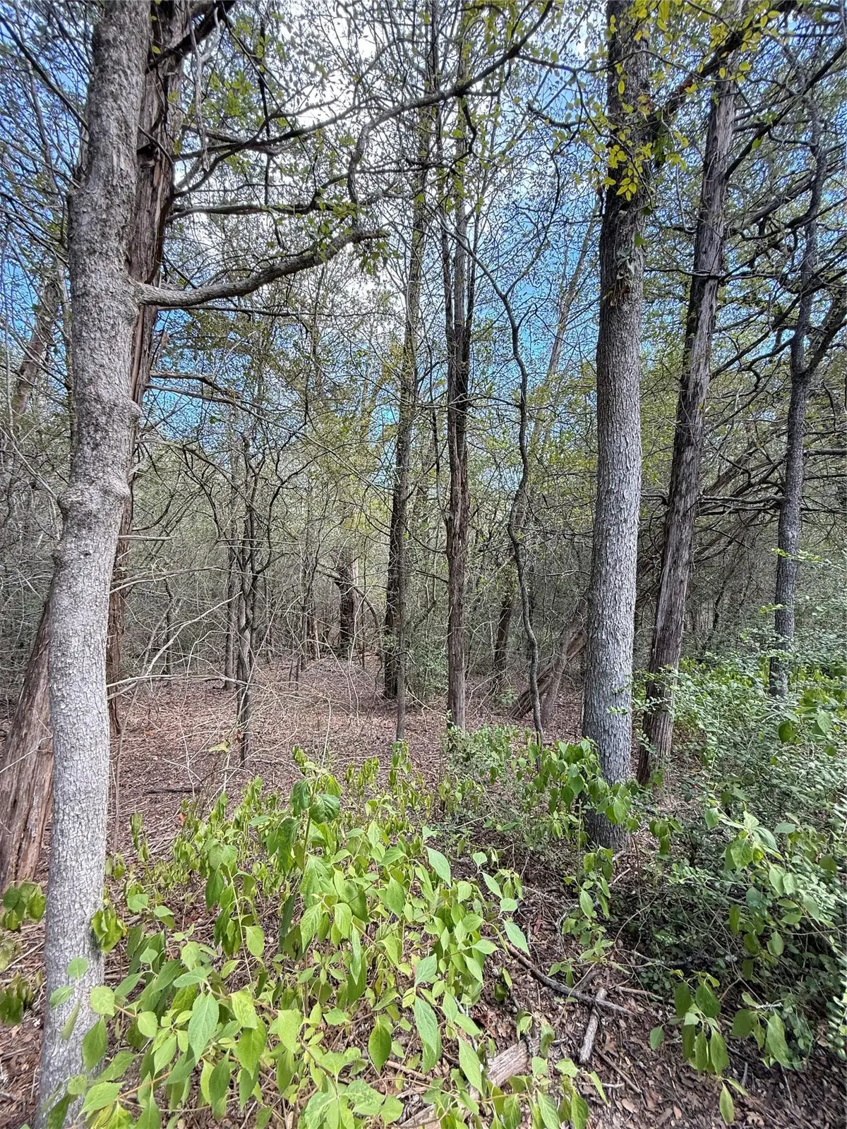 TBD Hanauma, Bastrop, TX 78602 - #1