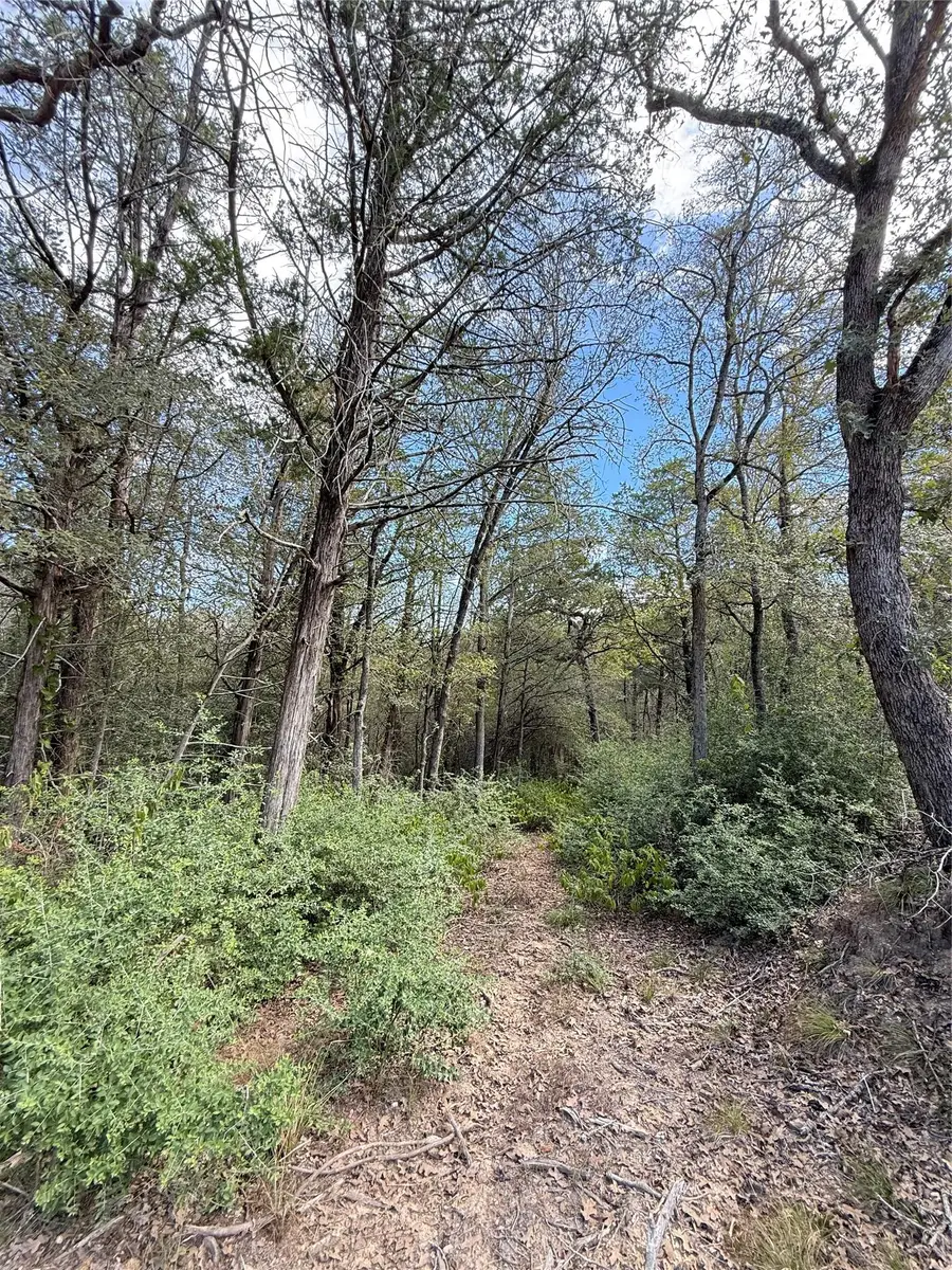 TBD Hanauma, Bastrop, TX 78602 - #3