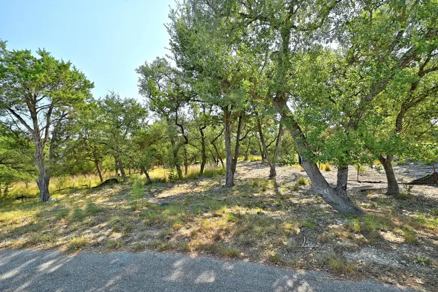 170 Night Wrangler Ln, Driftwood, TX 78619 - Image #3