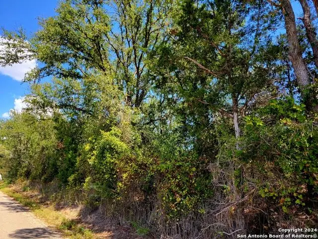 TBD Dale Ln Ln, Dale, TX 78616 - Image #1