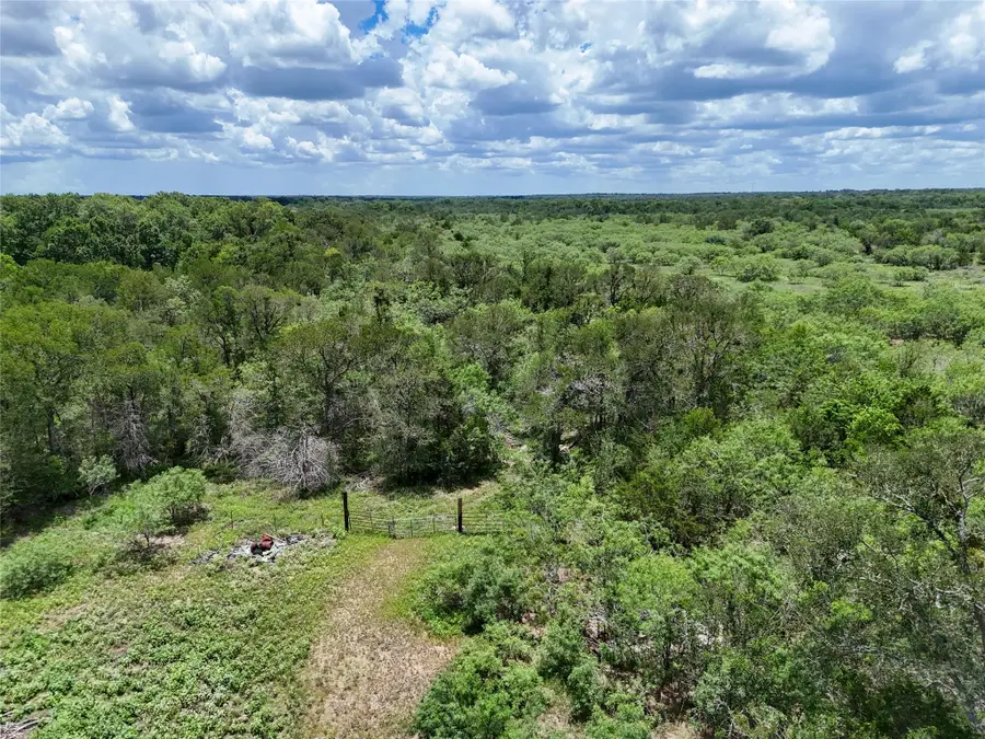TBD Chamberlin Rd, Dale, TX 78616 - Image #2