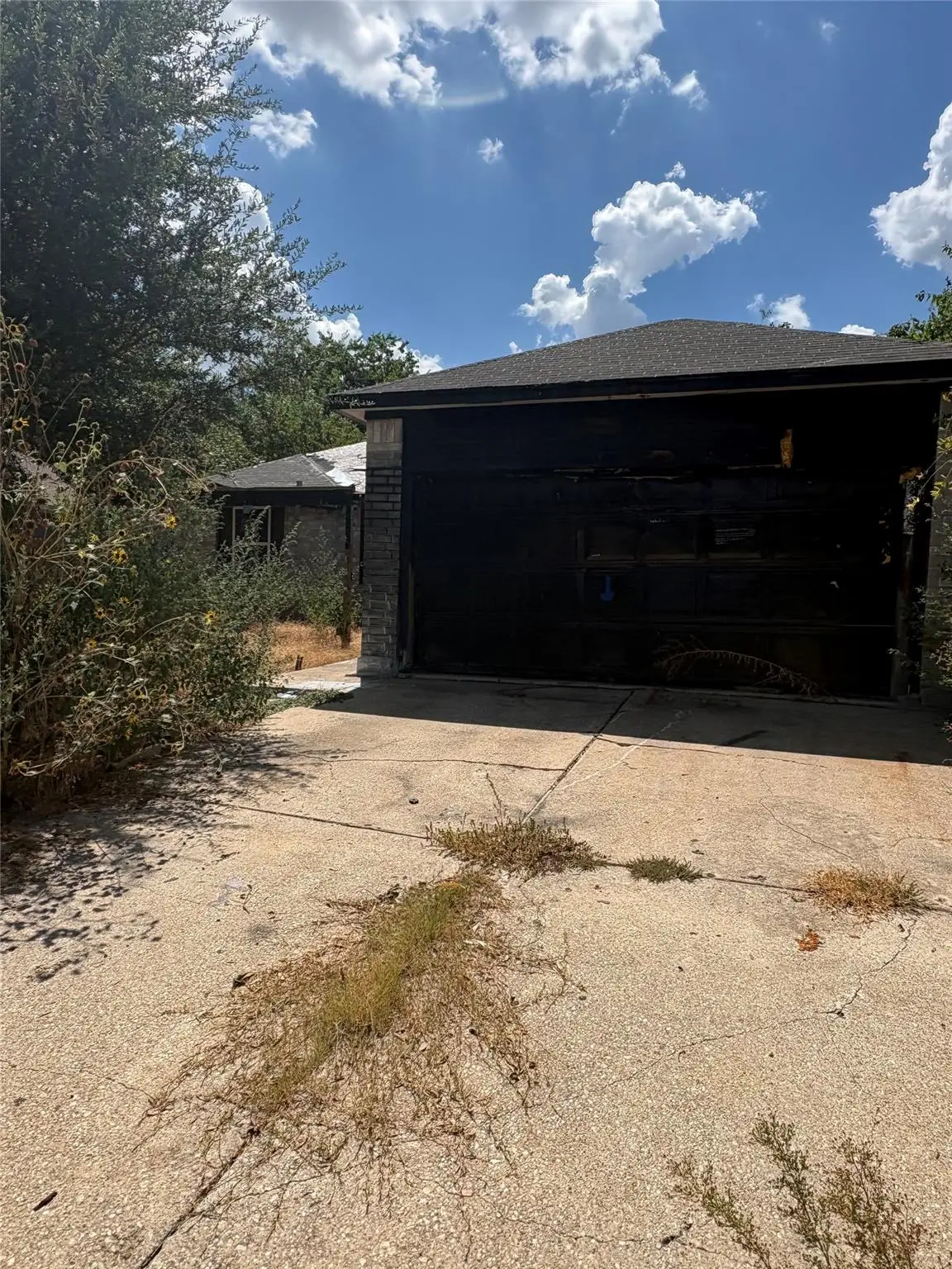205 Barberry Dr, Georgetown, TX 78626 - #1