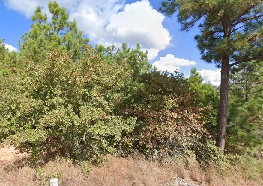 TBD Makaha St, Bastrop, TX 78602 - Image #3