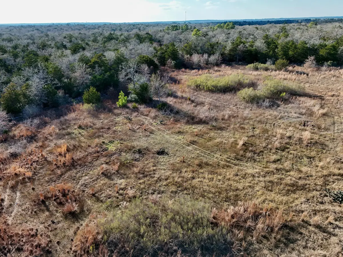 Lot 14 Antioch Rd, Paige, TX 78659 - Image #1