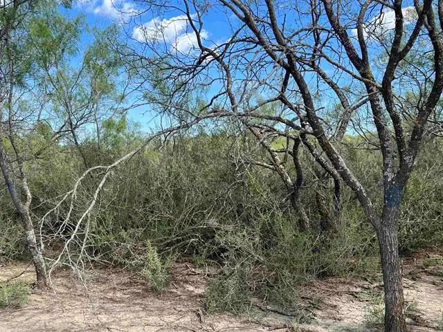 540 State Hwy. 16 Highway, Goldthwaite, TX 76844 - Image #2