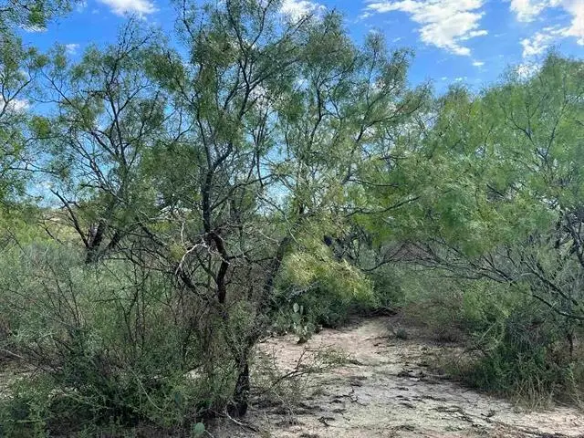 540 State Hwy. 16 Highway, Goldthwaite, TX 76844 - Image #3