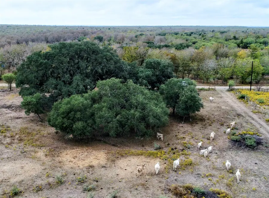 387 Black Watch Ln, Lockhart, TX 78644 - #2