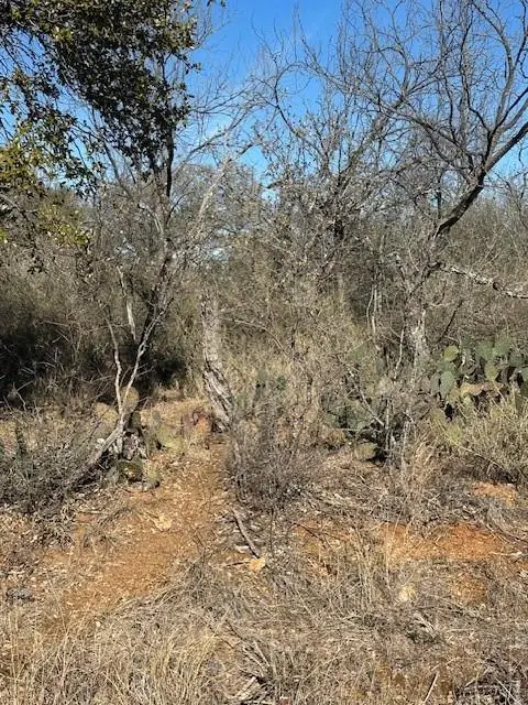 0 TBD Cedar Dr, Marble Falls, TX 78654 - Image #3