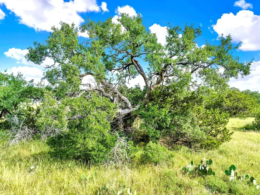 TBD Oakwood Loop, San Marcos, TX 78666 - Image #3