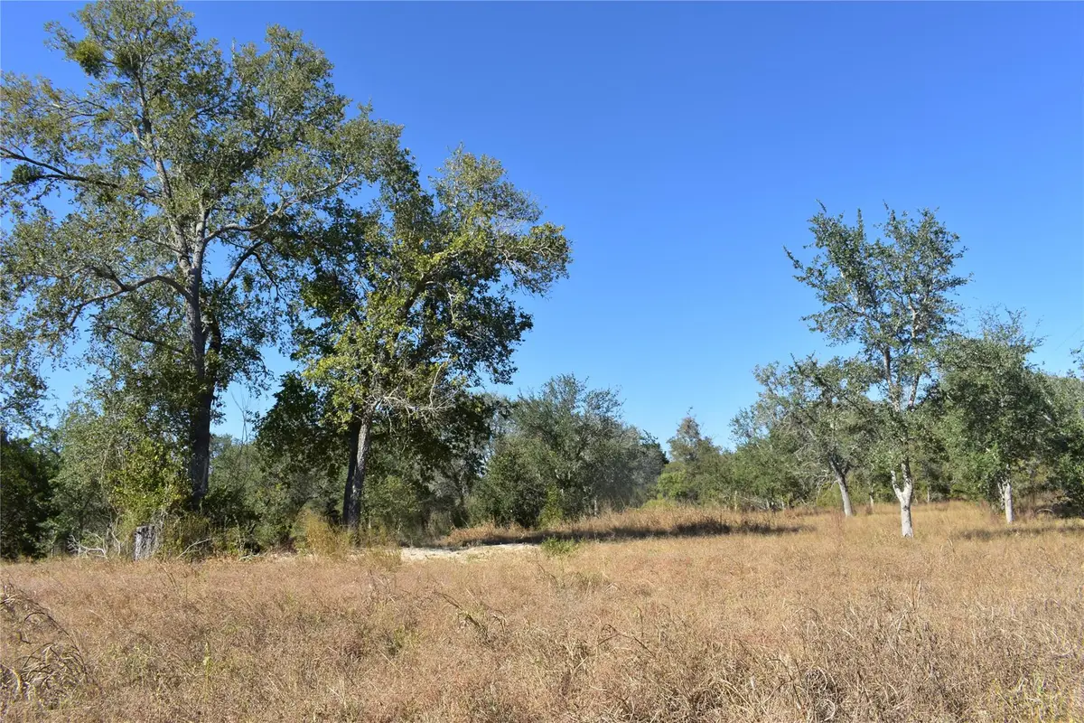 TBD Cr 481, Gonzales, TX 78629 - #1