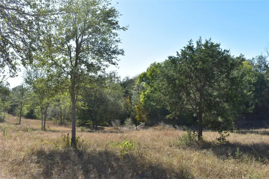 TBD Cr 481, Gonzales, TX 78629 - #2