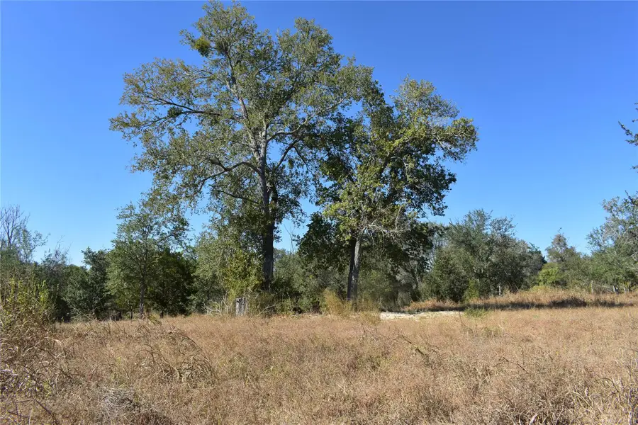 TBD Cr 481, Gonzales, TX 78629 - #3