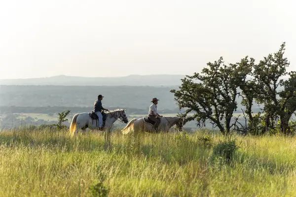 8577 Ranch Road 2766, Johnson City, TX 78636