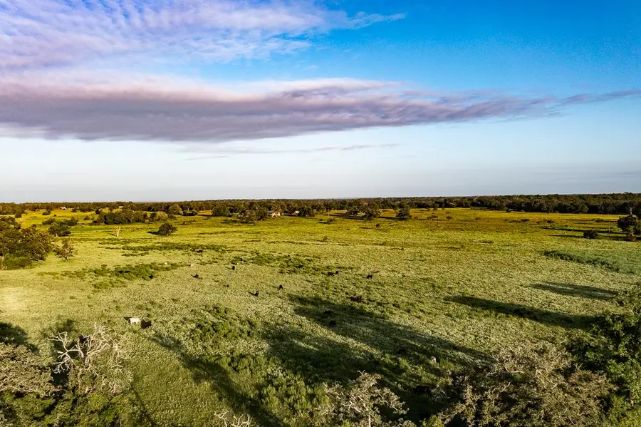 2993 County Road 320, Lexington, TX 78947 - Image #3