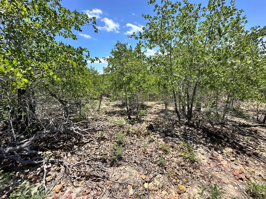 TBD Manawianui Dr, Bastrop, TX 78602 - #3