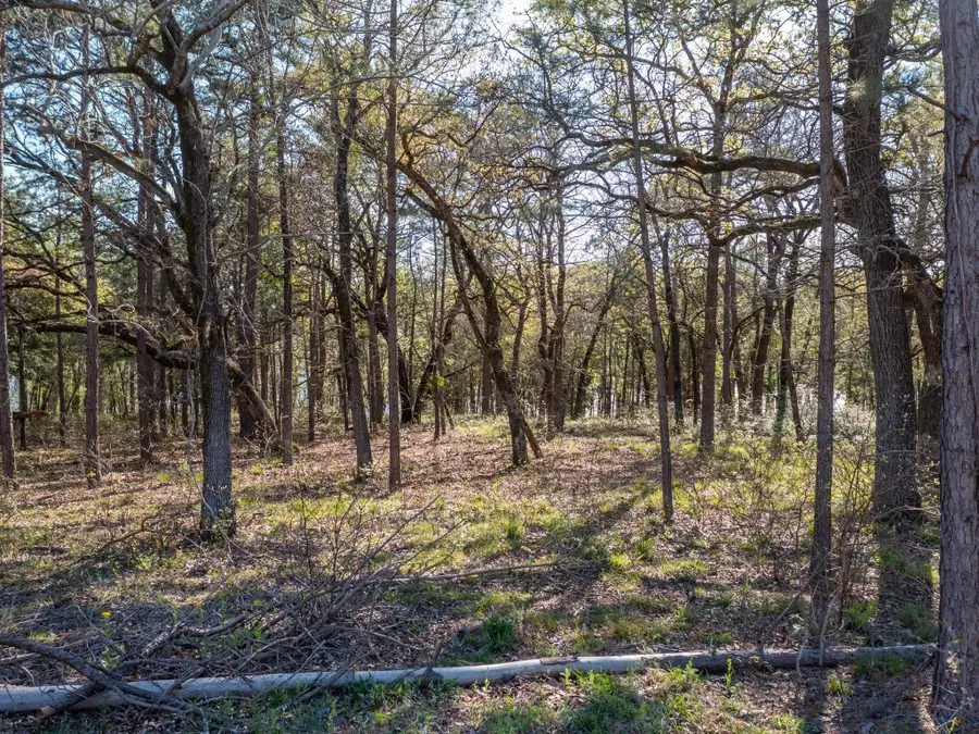 3104 Shadow Pine Dr, Larue, TX 75770 - Image #3
