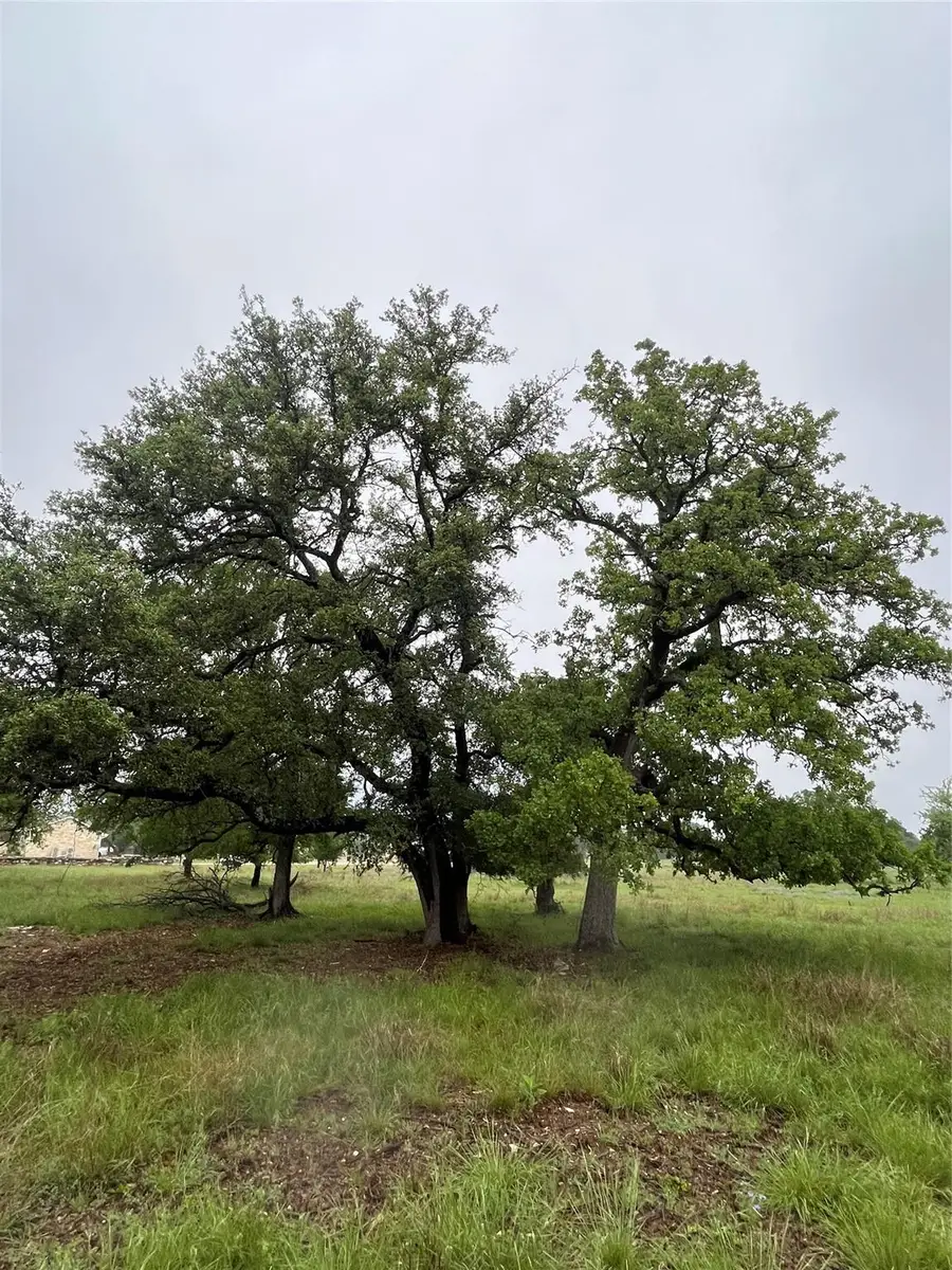 TBD Cheyenne Pass, Salado, TX 76571 - Image #2