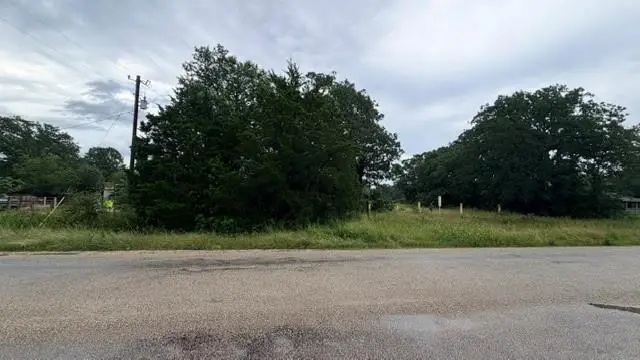 000 Cool Water Dr, Bastrop, TX 78602 - #2