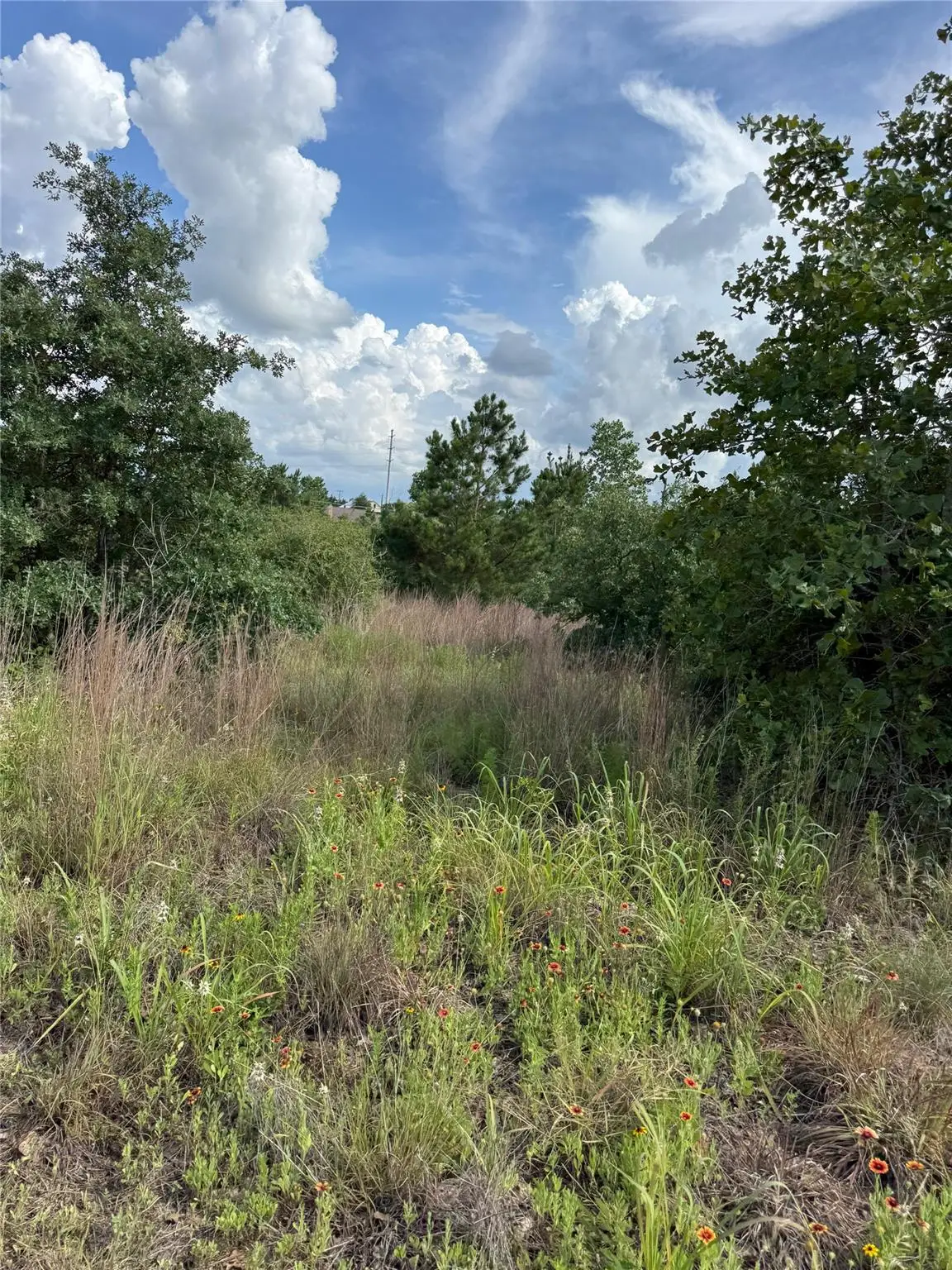 Lots 89-90 Pintail Ln, Bastrop, TX 78602 - #1