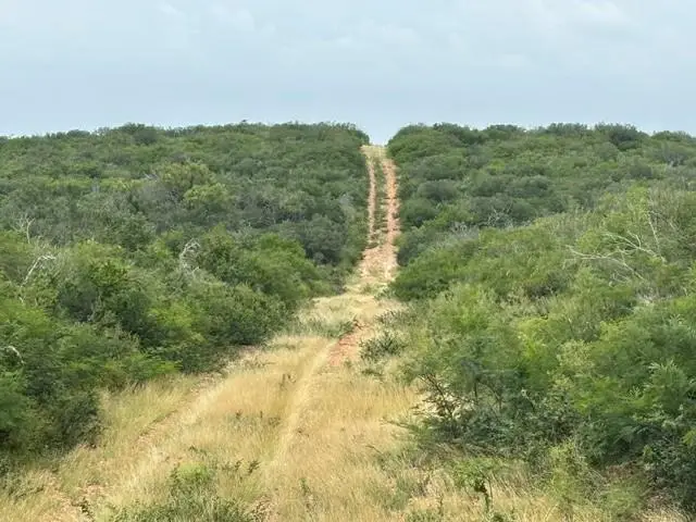 5394 Fm 2200 Rd W, Devine, TX 78016 - #3