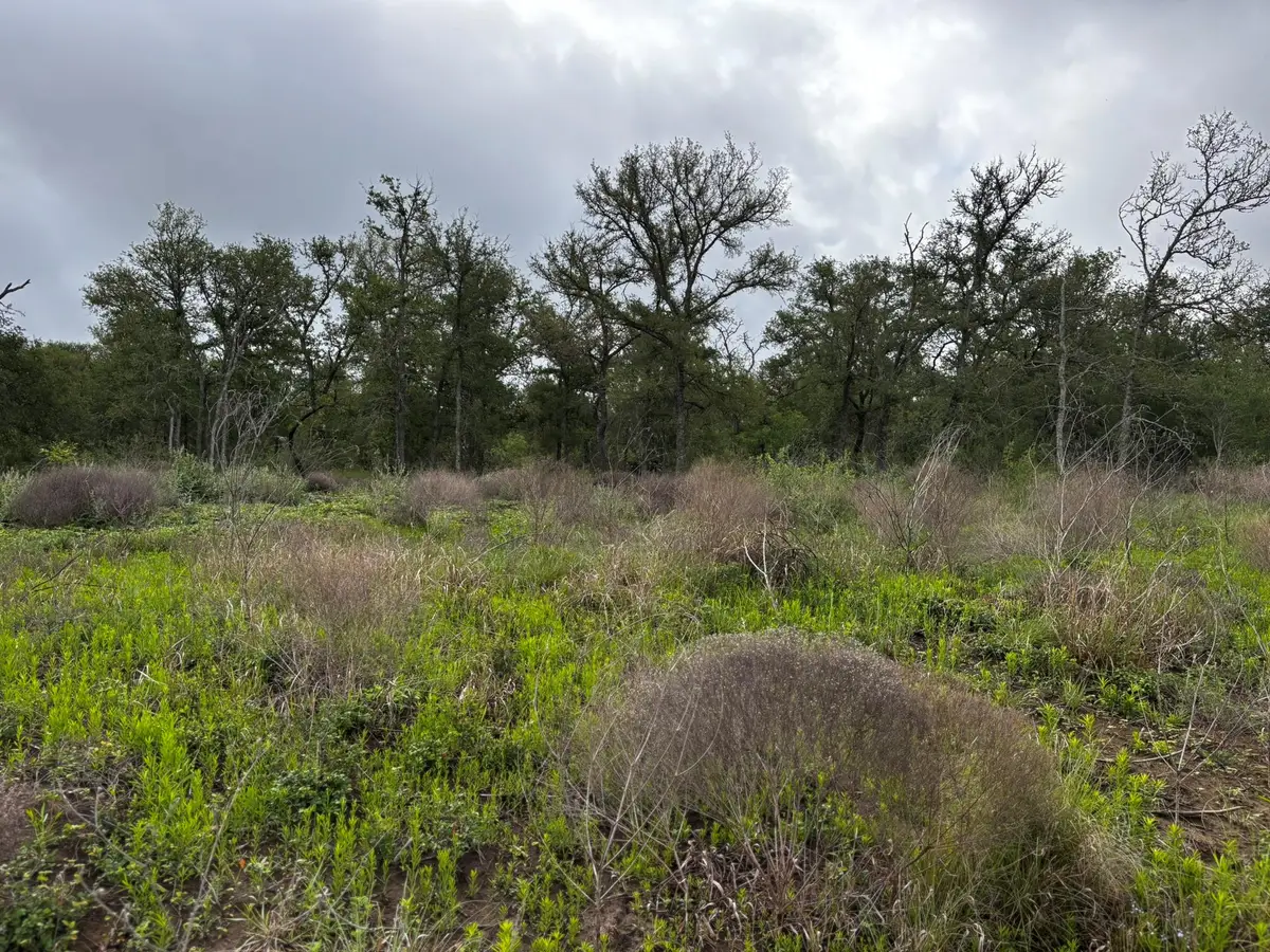 805 County Road 467, Thrall, TX 76578 - #1